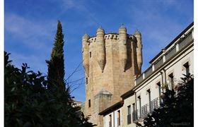  Visita o "tour" virtual de la torre del Clavero