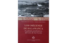 Nº 2. Los orígenes de Salamanca. El poblado prehistórico del Cerro de San Vicente