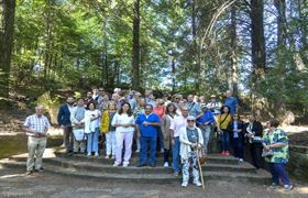 Visita guiadas a los jardines